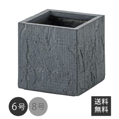 グリーンベース 6号用