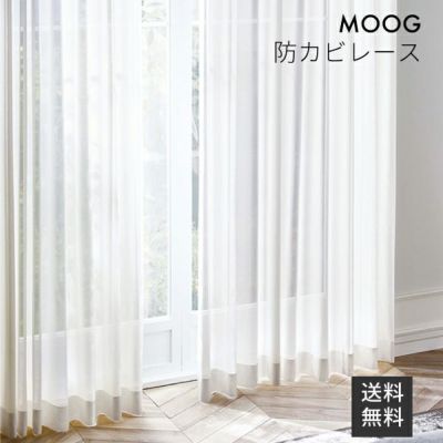 MOOG -モーグ-